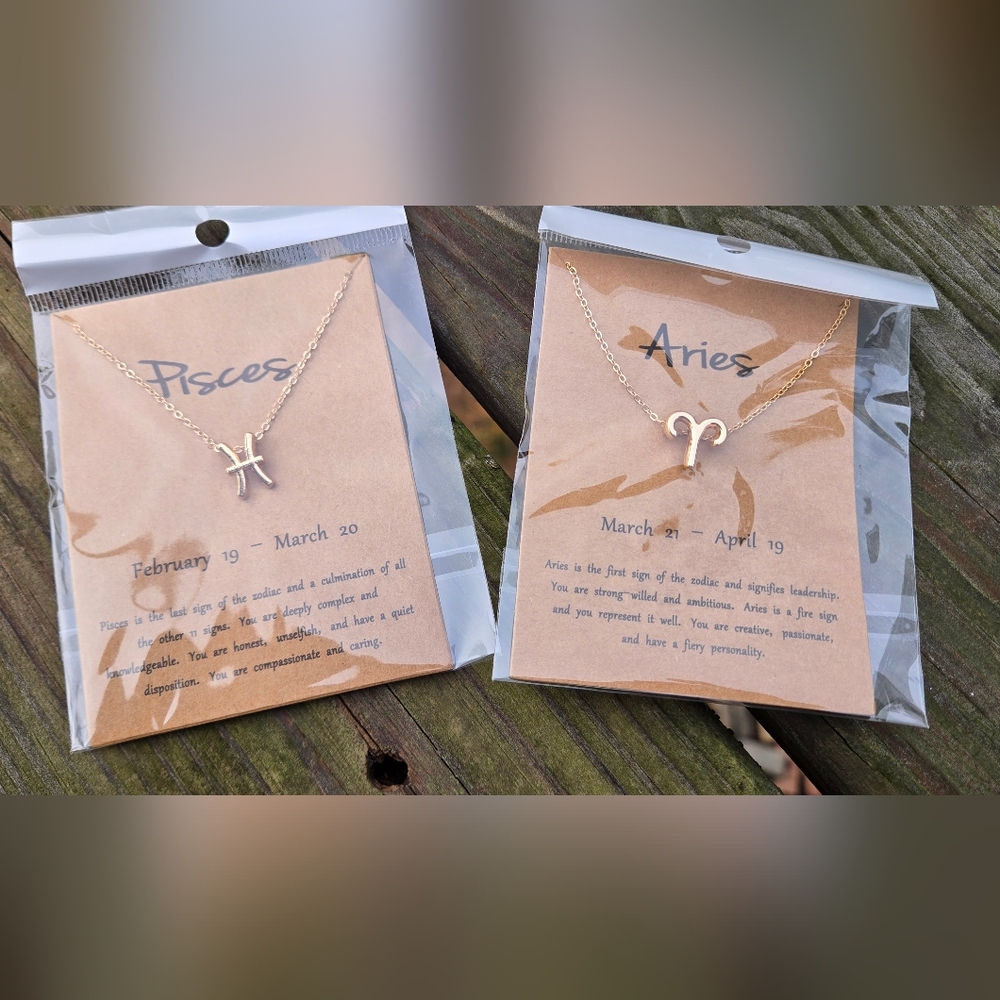 Zodiac Pendant Necklace - Picture 3 of 8